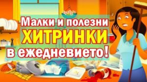 Информативна инфографика показваща статистики и тенденции в развитието