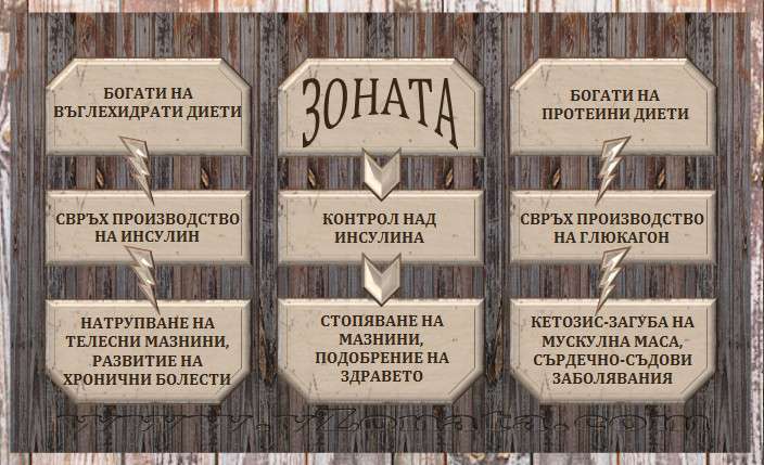 Основните принципи на Диета Зона