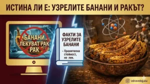 Истина ли е: Могат ли много узрелите банани да лекуват рак?